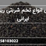 فروش انواع تخم شربتی ریز تمیز ایرانی