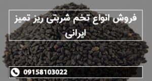 فروش انواع تخم شربتی ریز تمیز ایرانی