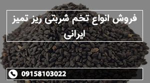 فروش انواع تخم شربتی ریز تمیز ایرانی