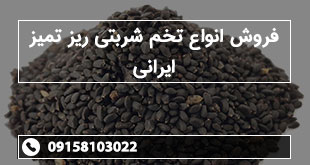 فروش انواع تخم شربتی ریز تمیز ایرانی