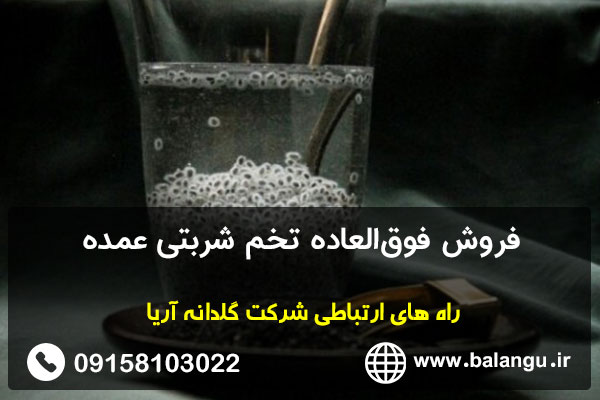 فروش فوق‌العاده تخم شربتی عمده