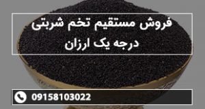 فروش مستقیم تخم شربتی درجه یک ارزان