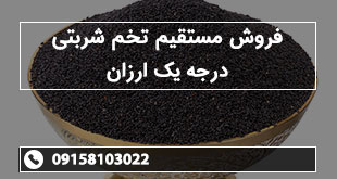 فروش مستقیم تخم شربتی درجه یک ارزان