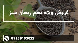 فروش ویژه تخم ریحان سبز