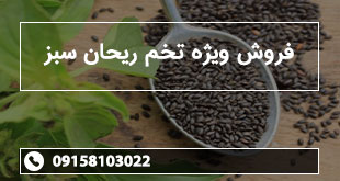 فروش ویژه تخم ریحان سبز