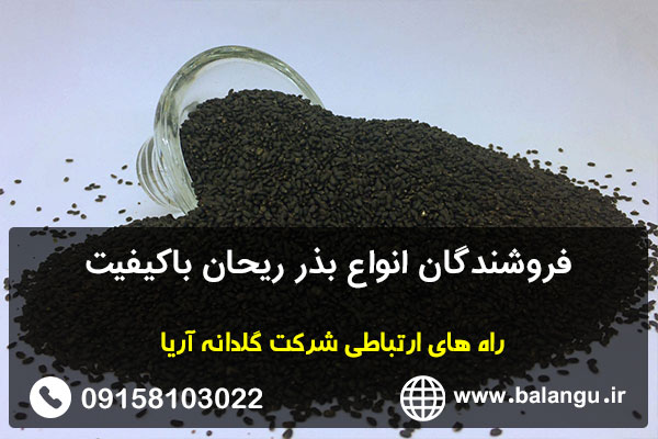 فروشندگان انواع بذر ریحان باکیفیت