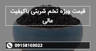 قیمت ویژه تخم شربتی باکیفیت عالی