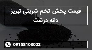 قیمت پخش تخم شربتی تبریز دانه درشت