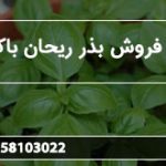 مراکز فروش بذر ریحان باکیفیت