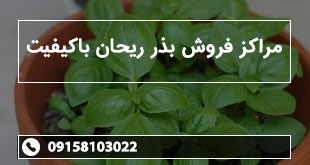 مراکز فروش بذر ریحان باکیفیت