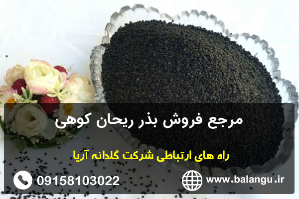 مرجع فروش بذر ریحان کوهی