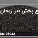 مرجع پخش بذر ریحان سبز