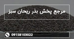 مرجع پخش بذر ریحان سبز
