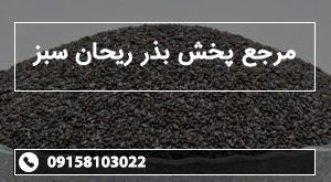 مرجع پخش بذر ریحان سبز