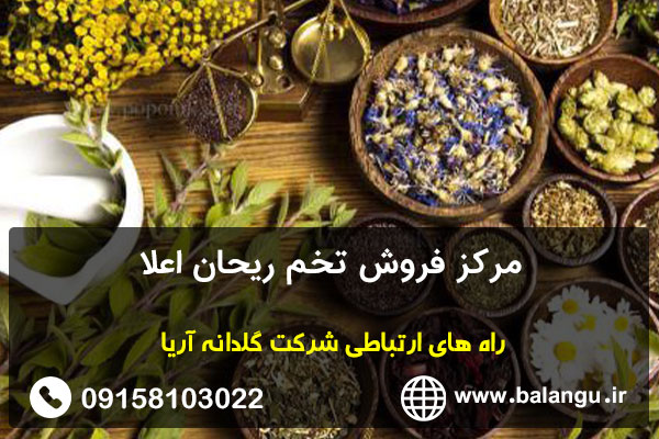 مرکز فروش تخم ریحان اعلا
