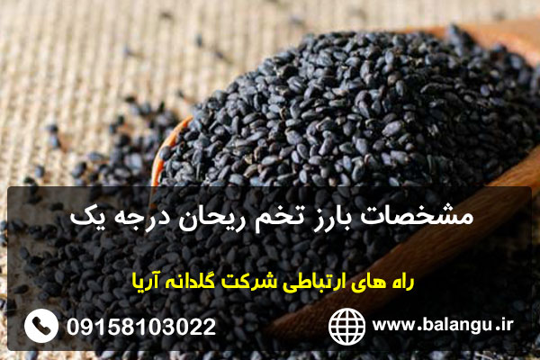 مشخصات بارز تخم ریحان درجه یک