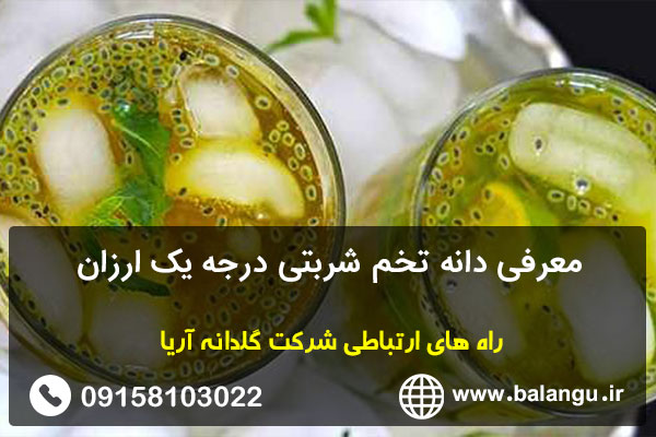 معرفی دانه تخم شربتی درجه یک ارزان