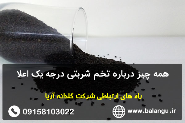 همه چیز درباره تخم شربتی درجه یک اعلا