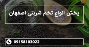 پخش انواع تخم شربتی اصفهان
