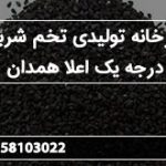 کارخانه تولیدی تخم شربتی درجه یک اعلا همدان