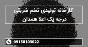 کارخانه تولیدی تخم شربتی درجه یک اعلا همدان