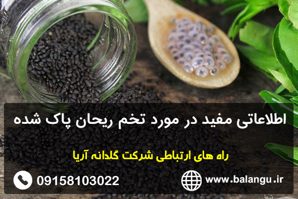 اطلاعاتی مفید در مورد تخم ریحان پاک شده