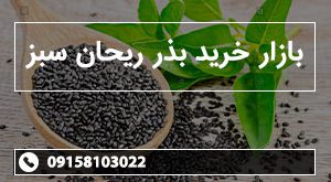 بازار خرید بذر ریحان سبز