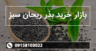 بازار خرید بذر ریحان سبز