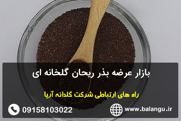 بازار عرضه بذر ریحان گلخانه ای