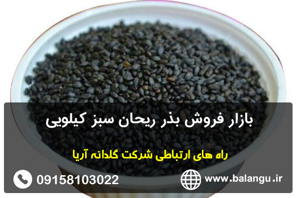 بازار فروش بذر ریحان سبز کیلویی