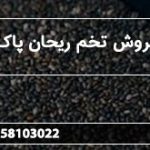 بازار فروش تخم ریحان پاک شده