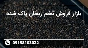 بازار فروش تخم ریحان پاک شده