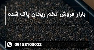 بازار فروش تخم ریحان پاک شده