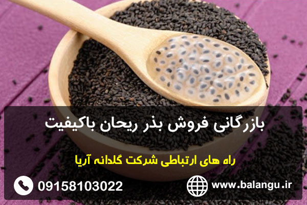 بازرگانی فروش بذر ریحان باکیفیت