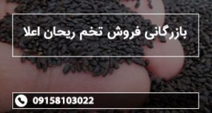 بازرگانی فروش تخم ریحان اعلا
