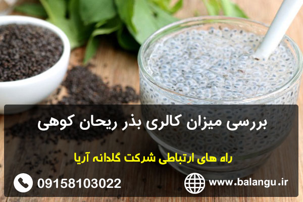 بررسی میزان کالری بذر ریحان کوهی