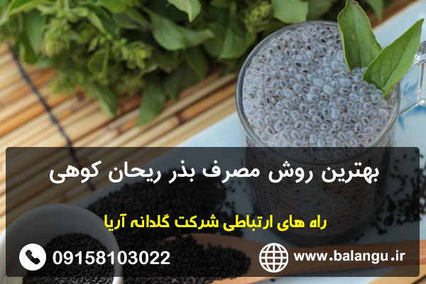 بهترین روش مصرف بذر ریحان کوهی