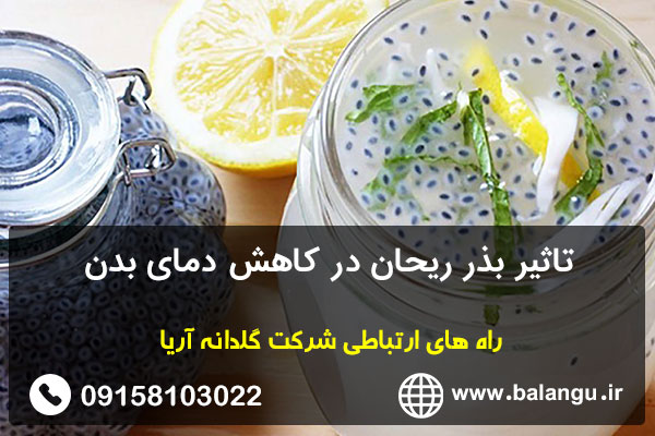 تاثیر بذر ریحان در کاهش دمای بدن