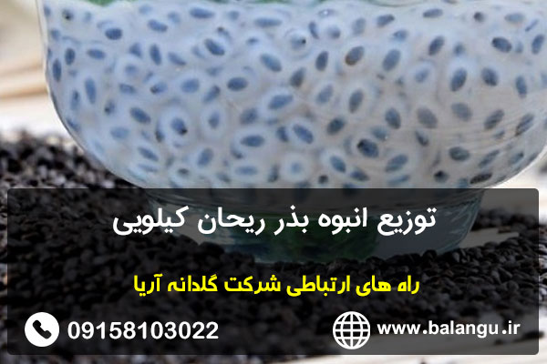 توزیع انبوه بذر ریحان کیلویی