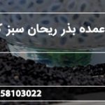 توزیع عمده بذر ریحان سبز کیلویی
