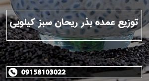 توزیع عمده بذر ریحان سبز کیلویی