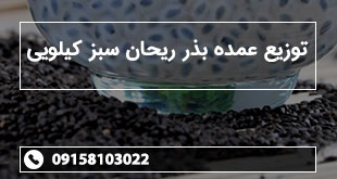 توزیع عمده بذر ریحان سبز کیلویی