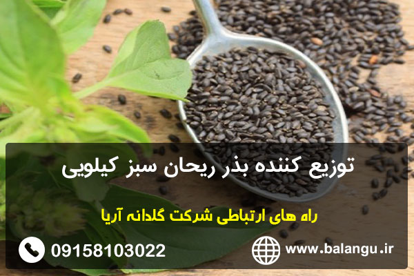 توزیع کننده بذر ریحان سبز کیلویی