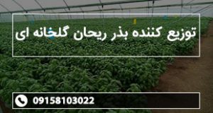 توزیع کننده بذر ریحان گلخانه ای