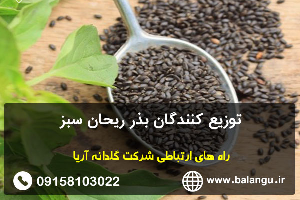 توزیع کنندگان بذر ریحان سبز