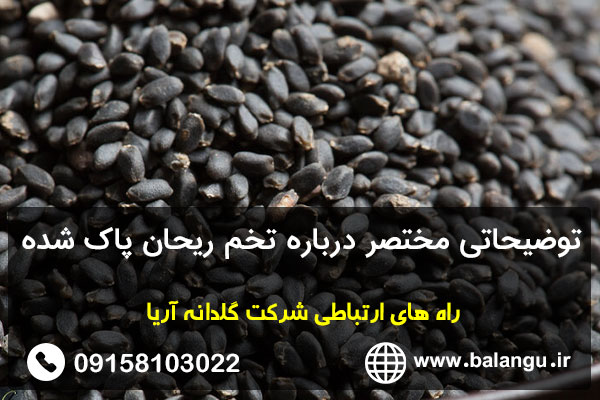 توضیحاتی مختصر درباره تخم ریحان پاک شده