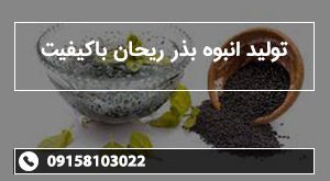 تولید انبوه بذر ریحان باکیفیت