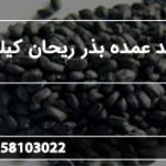 تولید عمده بذر ریحان کیلویی