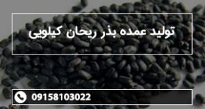 تولید عمده بذر ریحان کیلویی