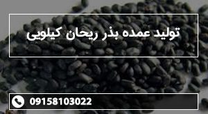 تولید عمده بذر ریحان کیلویی